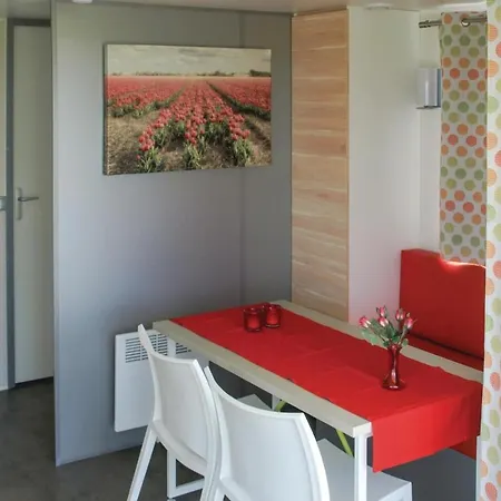 Hollands Glorie *
